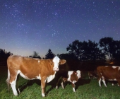 Spojení astro a agroturistiky - jedině v Beskydech